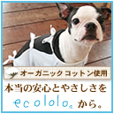 ecololo�@�~�j