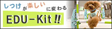 �G�f���L�b�g