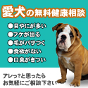 GREEN DOG