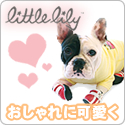 Little Lily�@�����[�u�[�c
