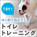 �g�C���g���[�j���O�@�~�j