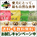 �h���C�t�[�h�y�l�C�`���[�Y�o���G�e�B�z