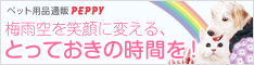 ���E�L�̑������T�C�g�wPEPPY�i�y�s�C�j�x